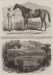 Neue Rennbahn in Fontainebleau